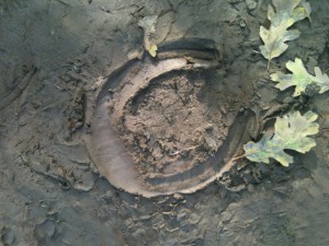 horse shoe print in mud 