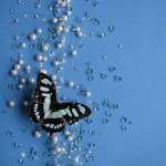 Blue Butterfly on blue backdrop with pearls and square clear beads