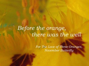 Beattie & Pryputniewicz 3 Oranges November Butterfly