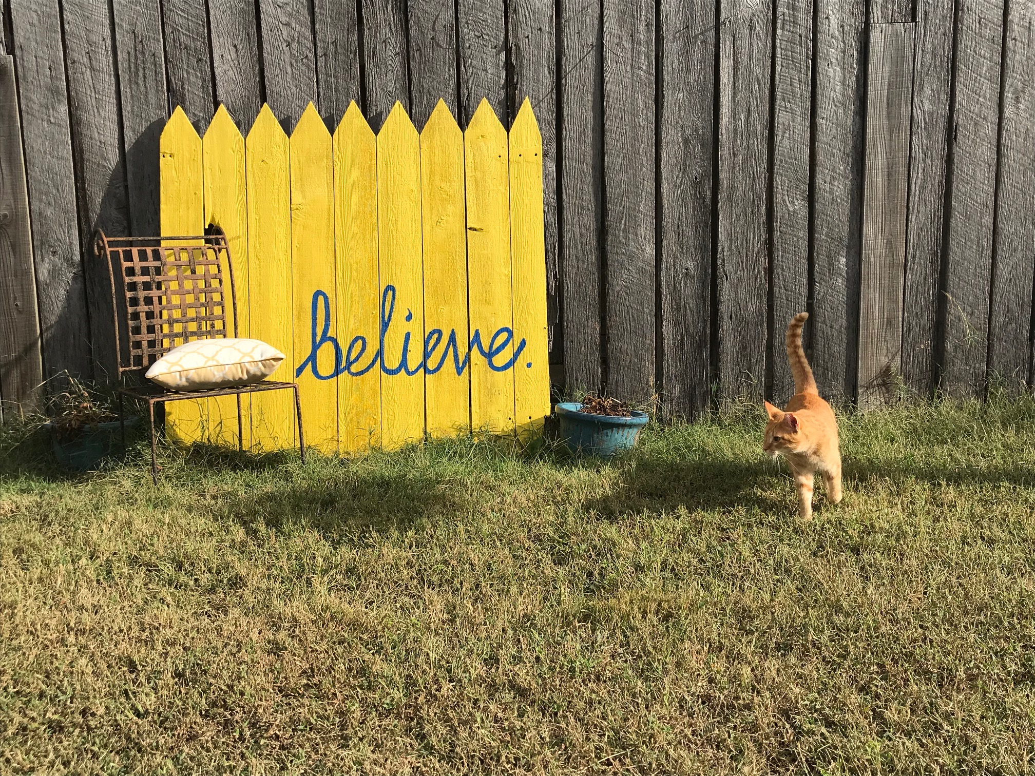 Oliver the orange cat in front of the side building at Rockvale Writers' Colony in front of yellow sign with blue cursive letters that spell believe beside chair and a